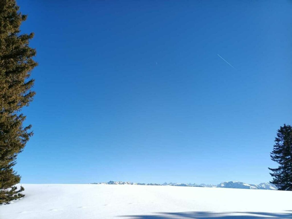 Arrivée sur le plateau depuis la forêt