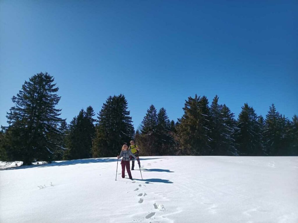 Promenade sur le plateau