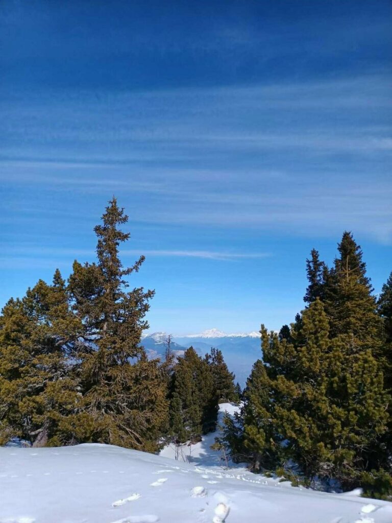 Mont Blanc bien dégagé !